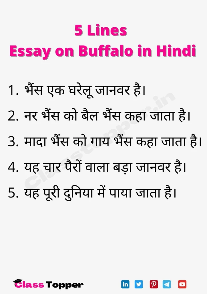 5 Lines Essay on Buffalo in Hindi