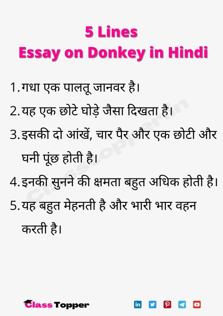 5 Lines Essay on Donkey in Hindi