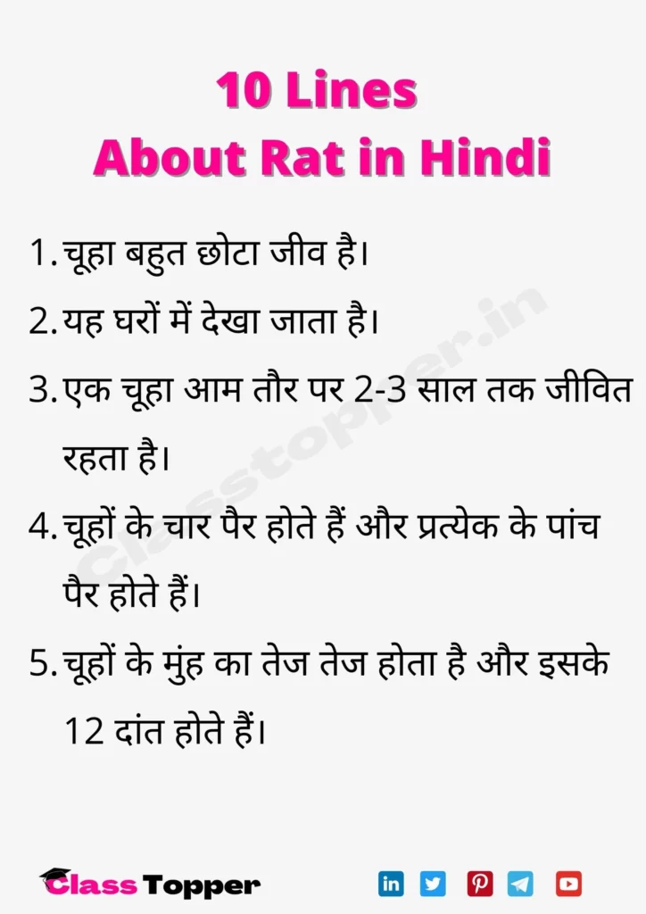 5 Lines about Rat in Hindi