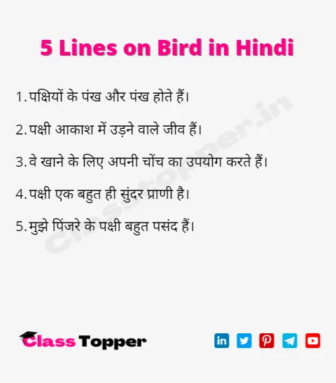 5 Lines on Bird