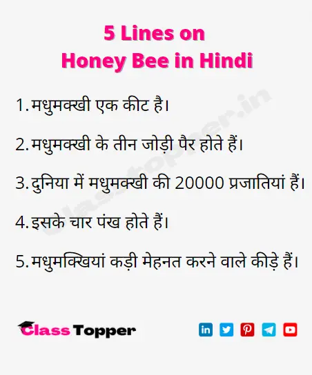 5 Lines on Honey Bee in Hindi