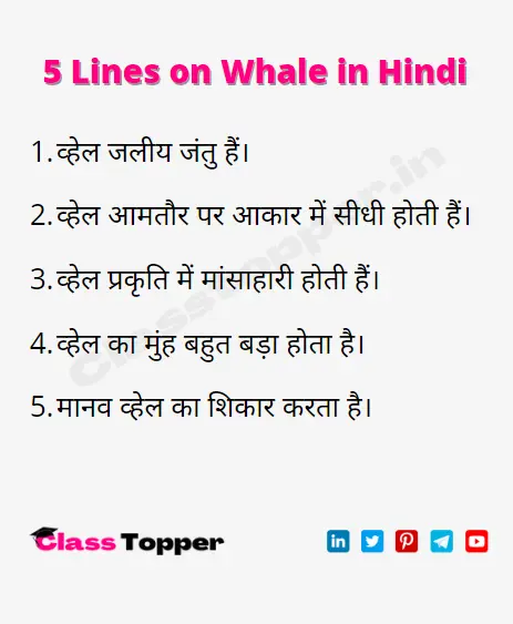 5 Lines on Whale in Hindi