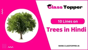 पेड़ों पर 10 लाइन | 10 Lines on Trees in Hindi for Students