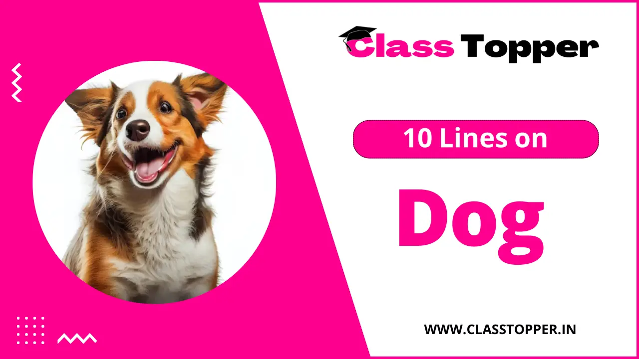 10 Lines on Dog for Children and Students