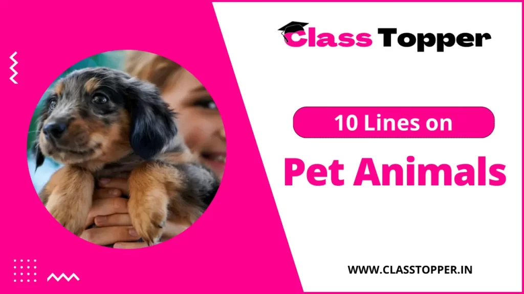 10 Lines On Pet Animals For Children And Students