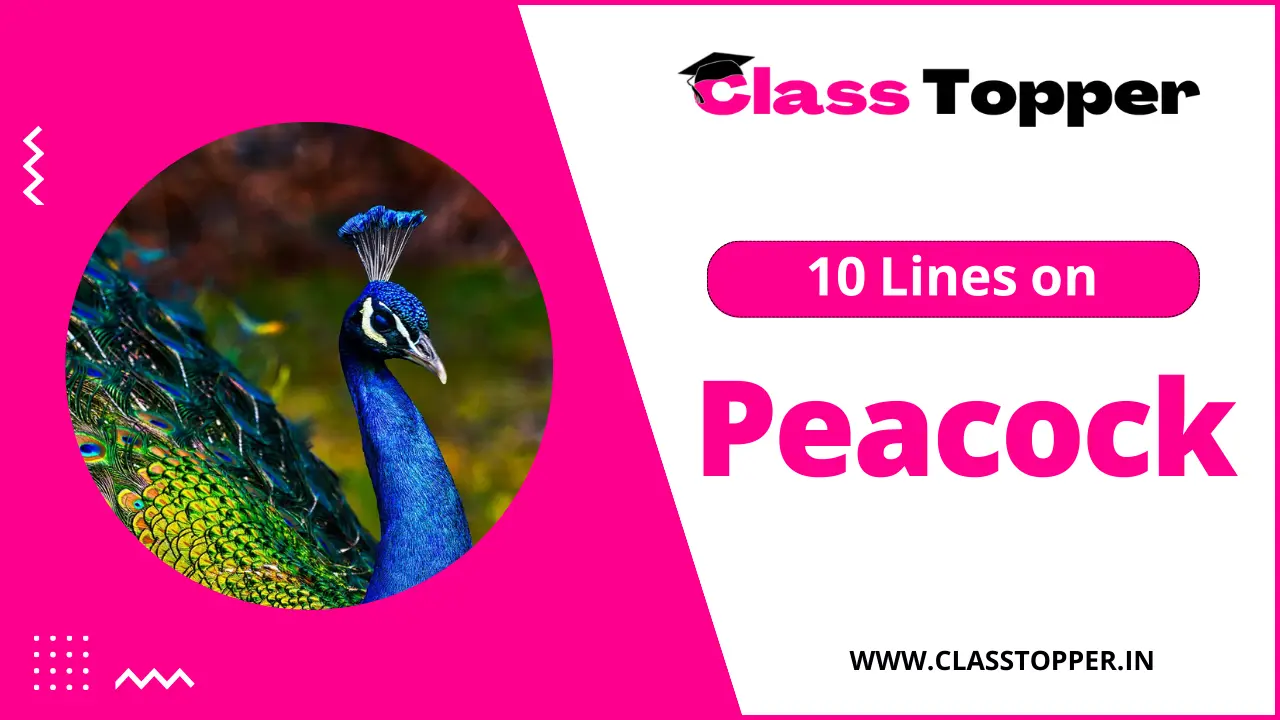 10 Lines on Peacock for Children and Students