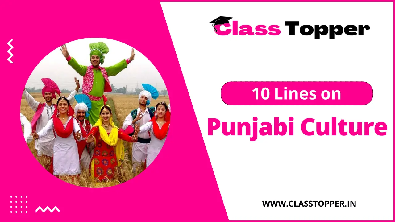10 Lines on Punjabi Culture